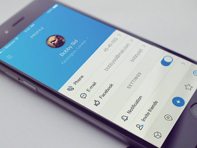 Profile app config design icons interface ios iphone profile settings ui