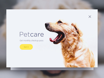 Popup - Dailyui dailyui day16 overlay pet popup shadow