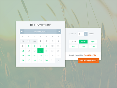 Book Appointment app booking calendar schedule ui ux widget woocommerce wordpress