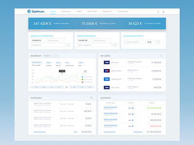 Ecommerce Dashboard apps bank card credit dashboard ecommerce finance flat graphic statistic ui web