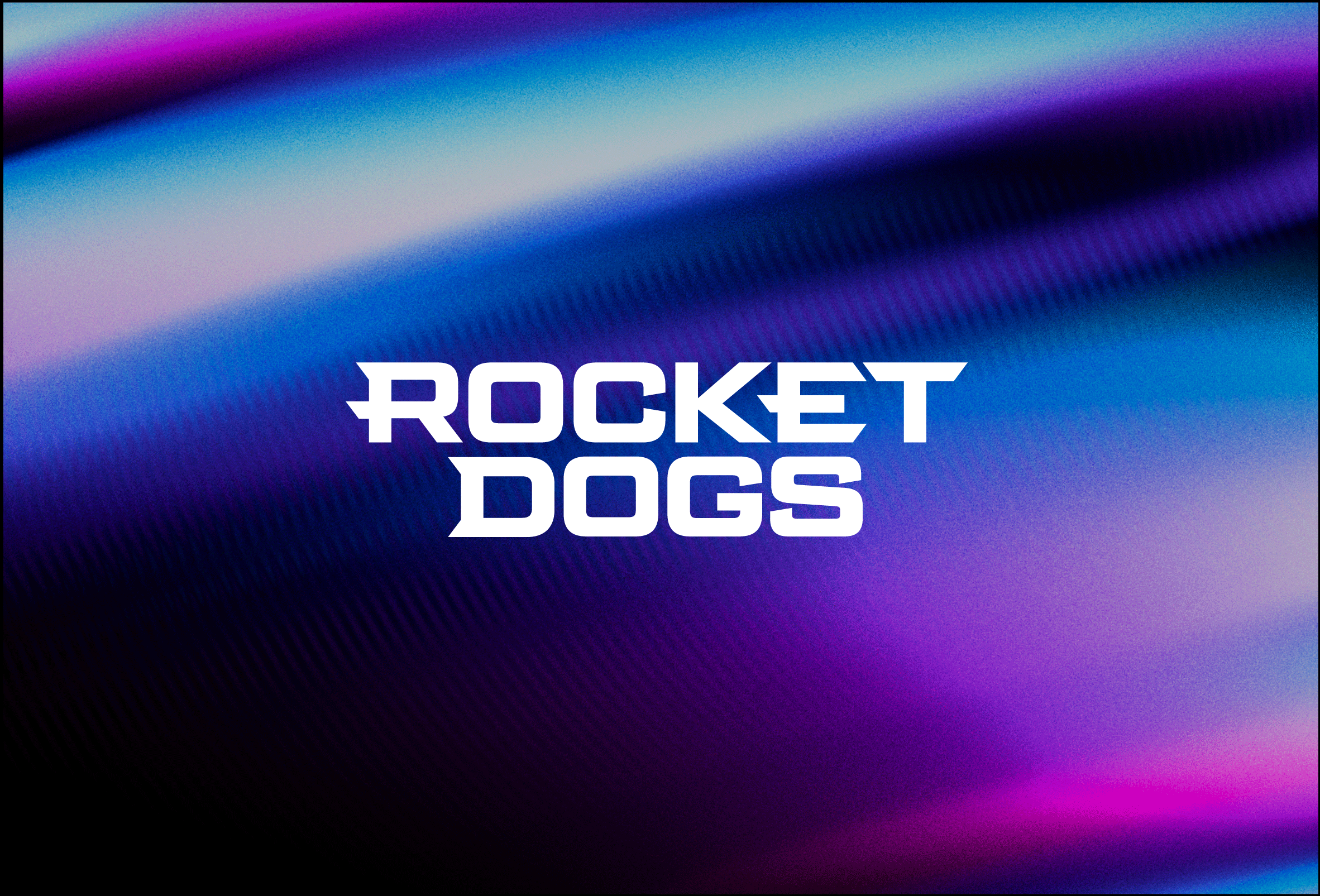 Rocket Dogs - Branding - Logo Colors art direction branding design gaming graphic design illustration logo rocket dogs ui visual identity