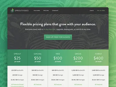 SproutVideo Pricing Page Case Study calculator case study faq gradients marketing pricing page responsive saas sproutvideo startup website