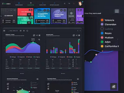 Analytics Dashboard v.04 chart dashboard data design graph interface milkovone statistics stats ui