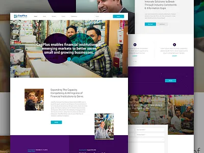 CapPlus bank elegant seagulls financial international investing motion responsive wordpress