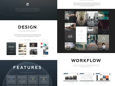 Sitetheory Promotional cms conversion gutensite home landing software template workflow