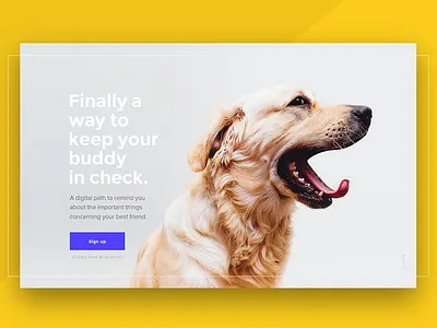 Signup screen landing login pet signin signup ui ux