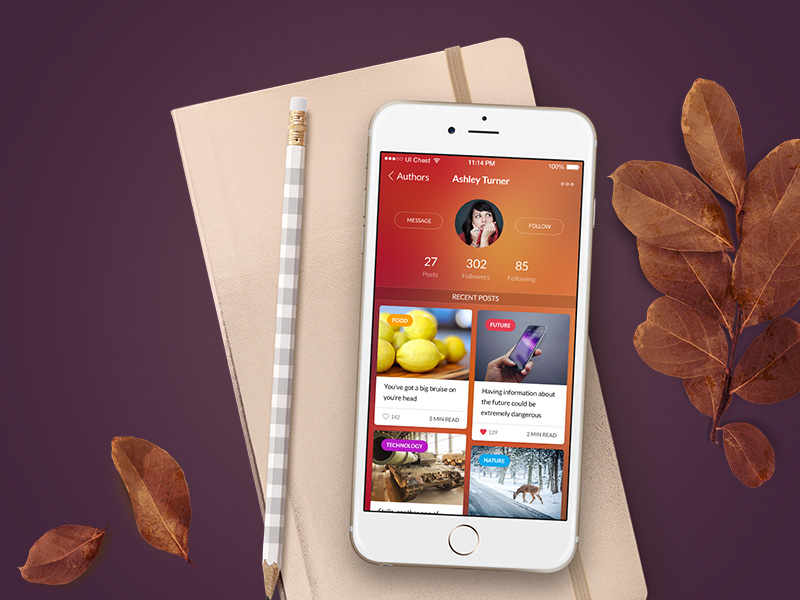 Chameleon Profile Presentation app free freebie ios iphone mobile profile psd social ui ui kit user interface