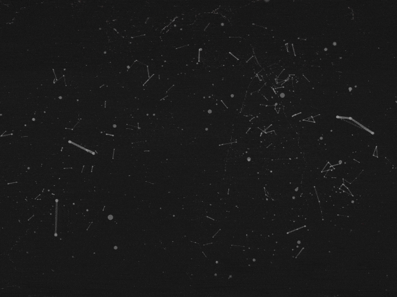 Holistik Logo Reveal animation data digital logo motion video war