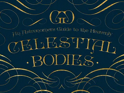 Bronwyn - A Font by Gary Godby decorative fancy flourishes font lettering type typeface victorian vintage