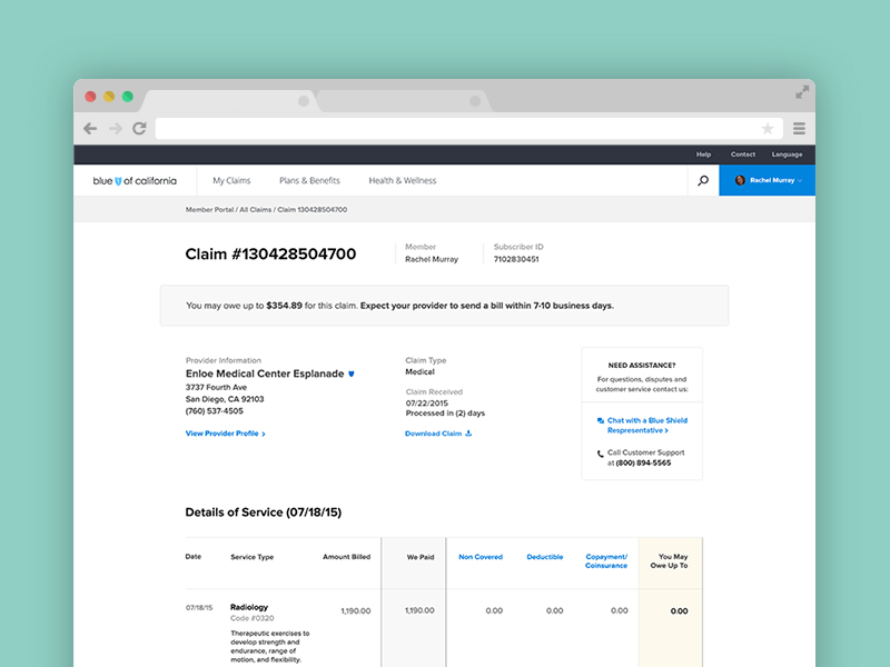 Claims Detail benefits blue shield claim data healthcare interface medical numbers services table ui ux