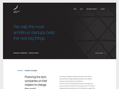 Investment Fund Website minimal typography ui ux website