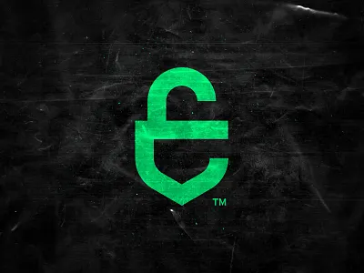 E Shield Security branding concept orange protection security shield tough