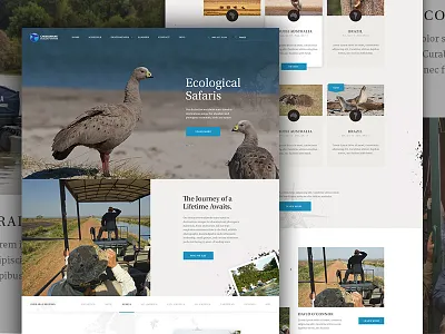 Cheesemans' Final cards destination eco elegant seagulls nature outdoor photography safari travel trip