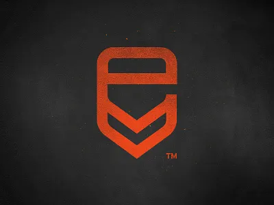 E Shield Security branding concept orange protection security shield tough