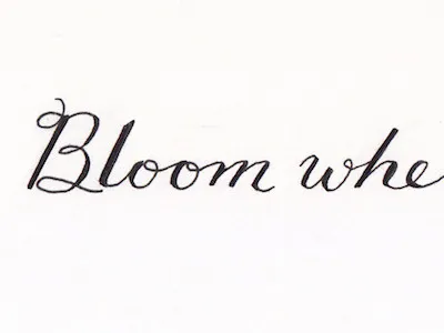 Bloom where you're planted. calligritype hand lettering hand lettering illustration illustrator lettering script typography