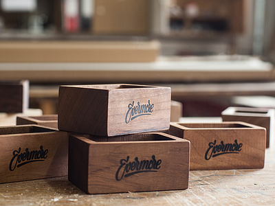 Evermore logo in action bijdevleetclientwork evermore handlettering logodesign script