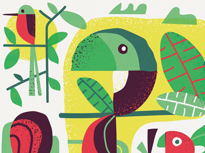 Bird Spotting bird leaves parrot sun texture toucan trees tropical