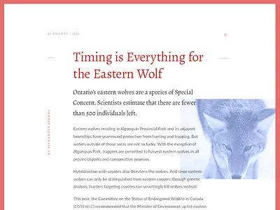 Daily UI challenge #035 — Blog Post app blog card challenge daily dailyui post ui