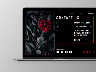 Contact Us - DailyUI#028 028 challenge contact dailyui gif on ui us ux