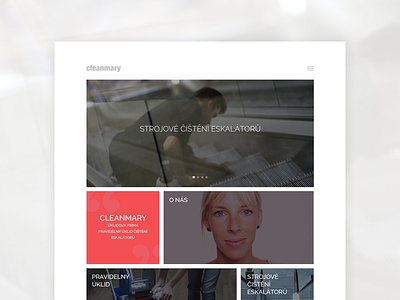 Cleanmary Website boxed brand clean cleaning coloured corporate design grid homepage webdesign website