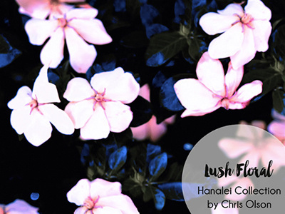 Lush Floral floral surface design swimwear textile tropical tropical iridescence