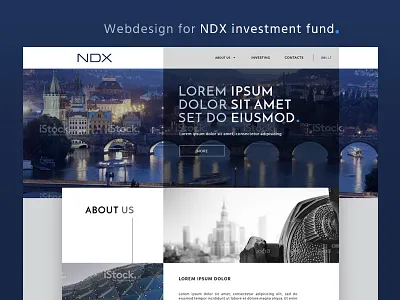 NDX group blue finance fund investments ndx group ui design webdesign