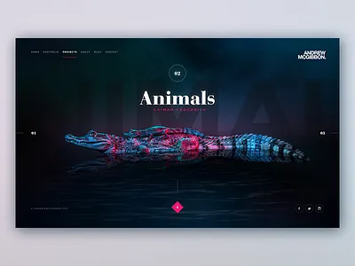 Landing Page home landing layout nav photography typography ui ux web