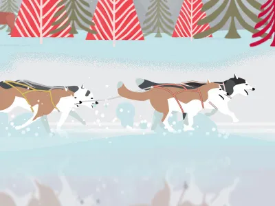 Dog sledding aurora dog husky lapland