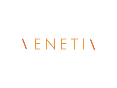 Venetia branding company naming concept logo design