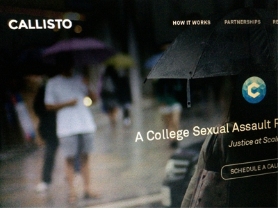 Callisto Web Design design landing reporting system ui ux web