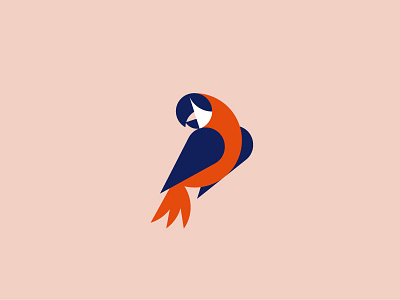 Parrot bird geometric illustration parrot