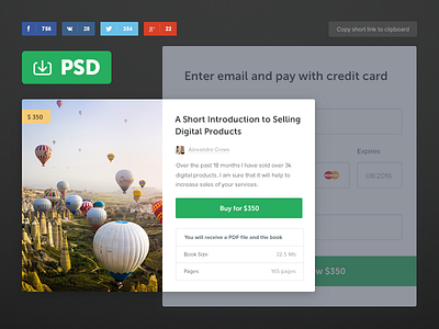 Checkout payment for Salesdash button checkout credit card dailyui download flat pay payment popup psd