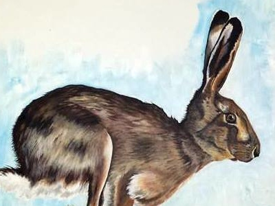 Hare acrylic illustration painting