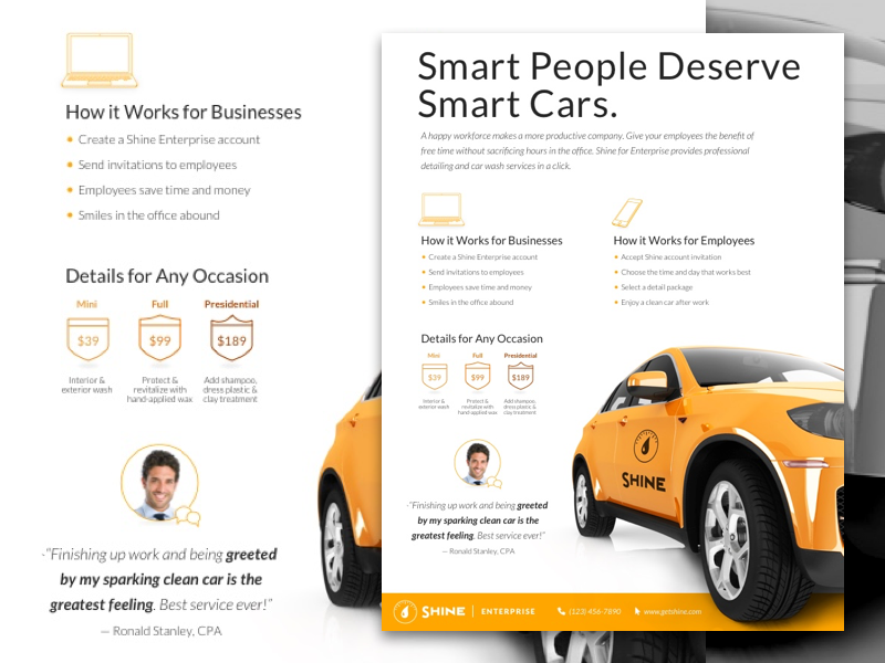 Example of Shine Branding Collateral