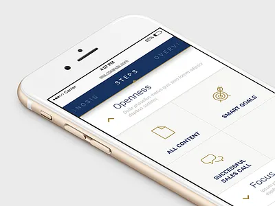 Performance Support Web Experience app blue collapse expand gold iphone onboarding table training ui web app