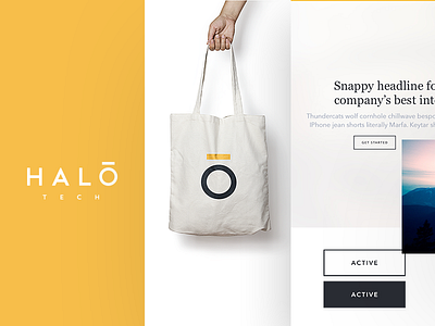 Halo Brand & UI Styleguide brand brand guide colours identity logo styleguide typography ui ux website