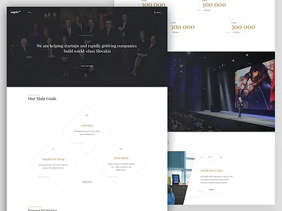 Classy website classy companies company elegant platform redesign sapie simple ui