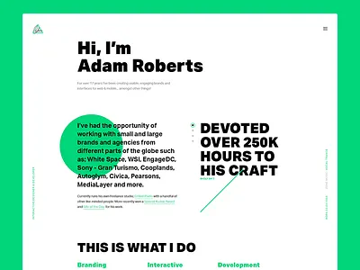 Portfolio portfolio showcase web