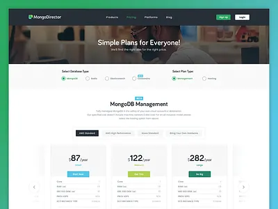 Mongo Director Redesign clean interface saas ui webapp website