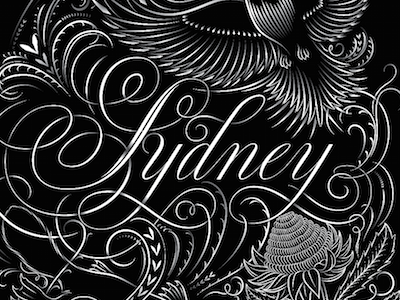 Sydney flourish kookaburra lettering platypus swashes sydney vector waratah