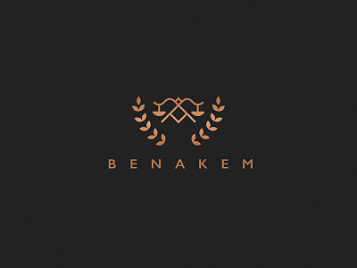 Benakem advocate black geometric law line pattern stars texture type typography vector