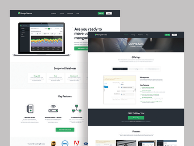 Mongo clean homepage hosting interface saas ui website white