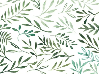 Collection No. 01 | Watercolor Botanical Green art botanical collection floral green hand lettered modern quotes watercolor