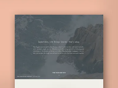 This Particular Company design uxui website