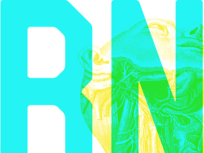 BNGL adobe bengal flat cmyk collage fun gig poster illustration screen print vector