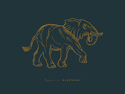 Elephant Rendering animal illustration brand branding elephant gold hand drawn icon illustration logo element navy pen and ink vintage branding