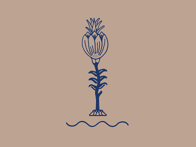 Vol. 01 Costal Vibes coast design floral graphic design handmade illustration plant wave