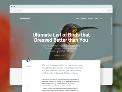 Module UI Kit Sample | Article article blog header post sample typography ui kit