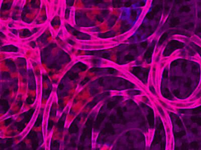 Tropical Iridescence activewear spd surface design swimwear textile tropical tropical iridescence