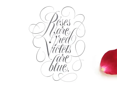 Roses are red calligraphy design hand handlettered letter lettering script type typography valentines